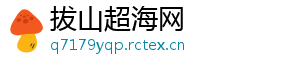 拔山超海网